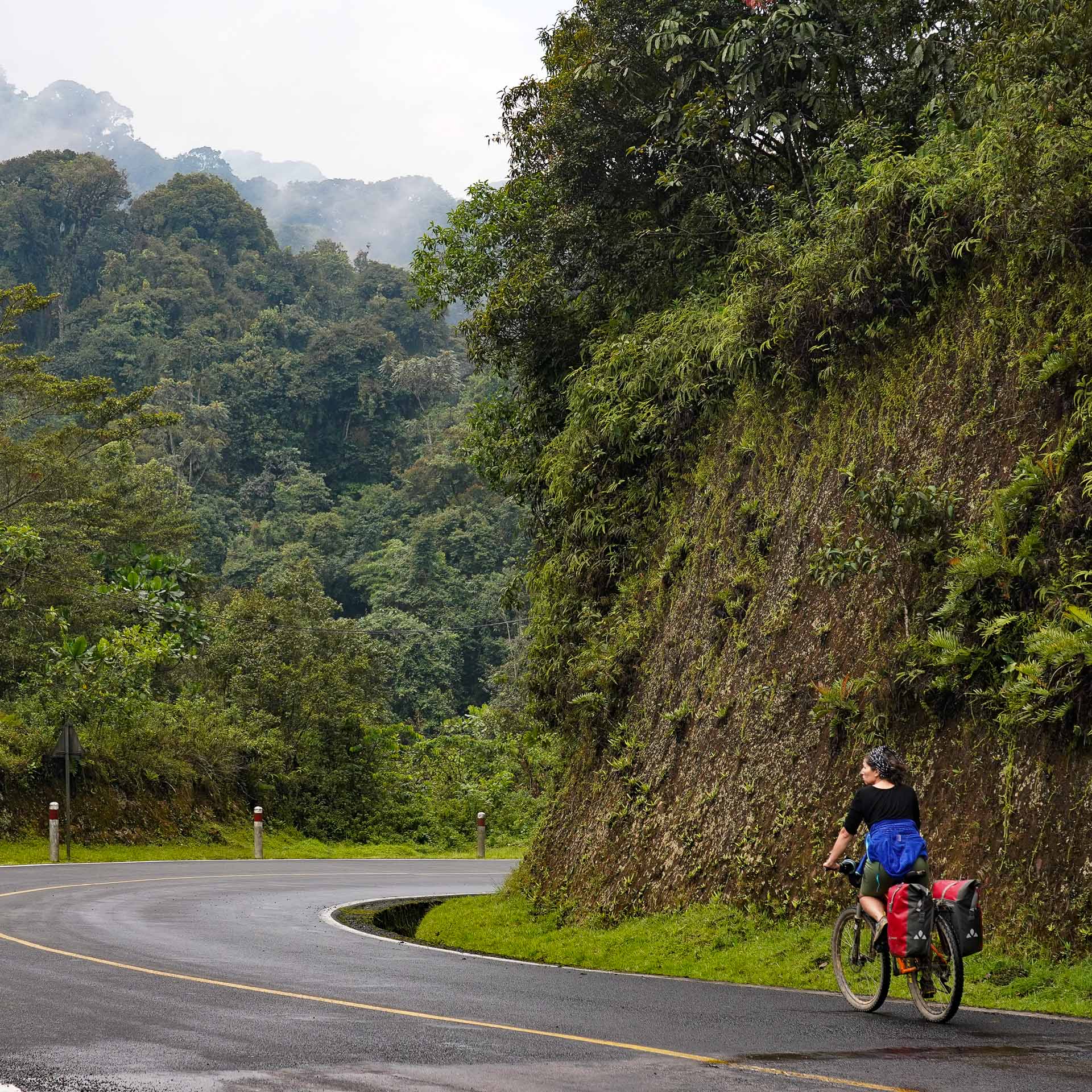 À vélo sur la route qui traverse la forêt de Nyungwé au Rwanda