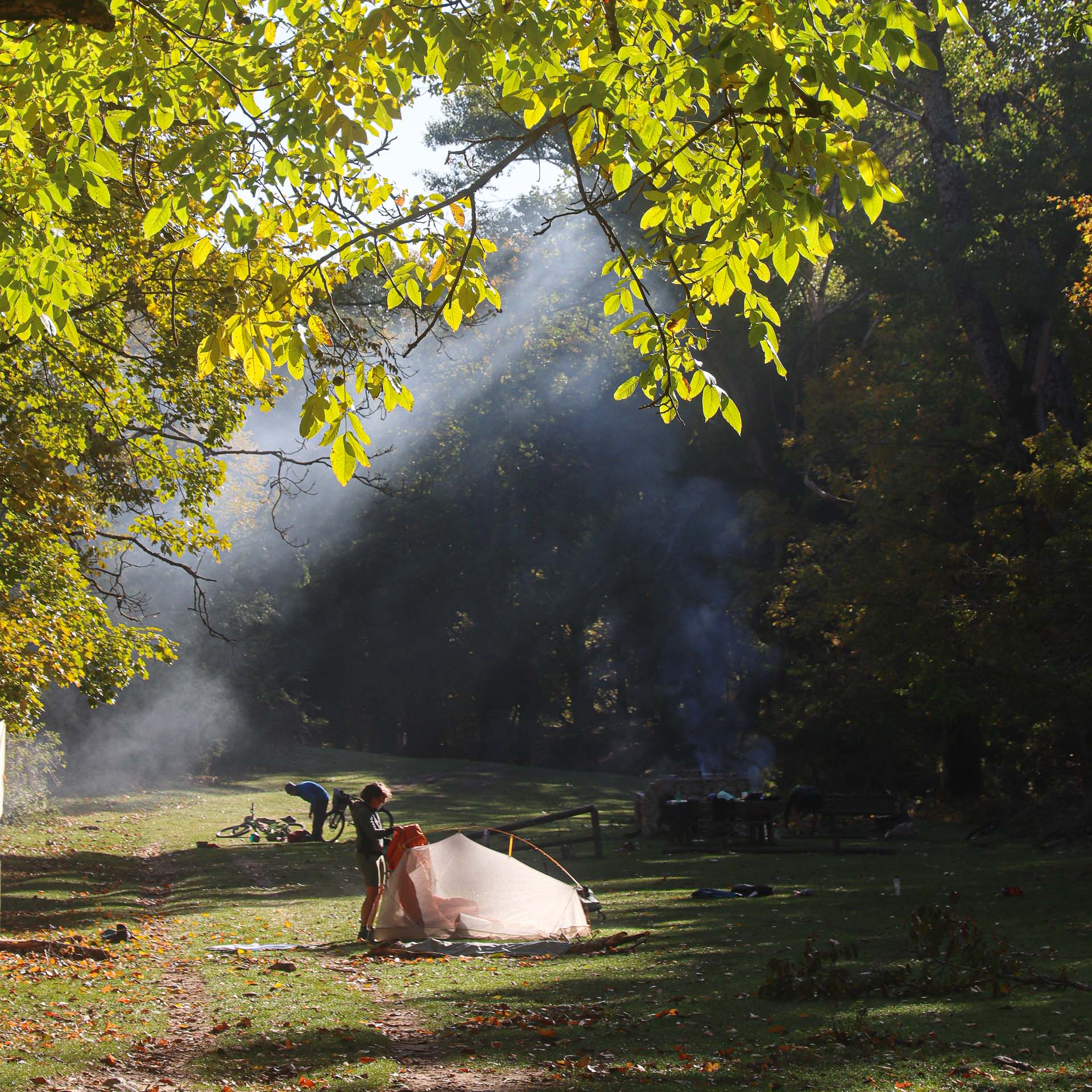 bivouac dans les Abruzzes sous des noyers