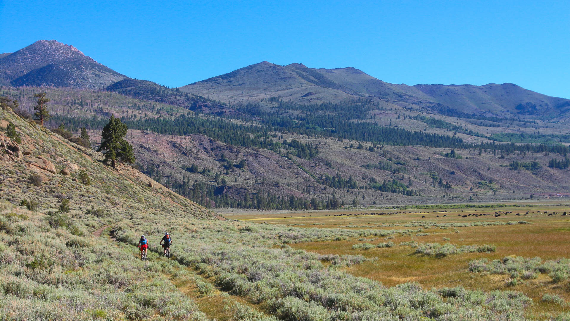 En route vers le Sonora Pass, plus haut col de l'Etat de Californie à presque 3000 mètres