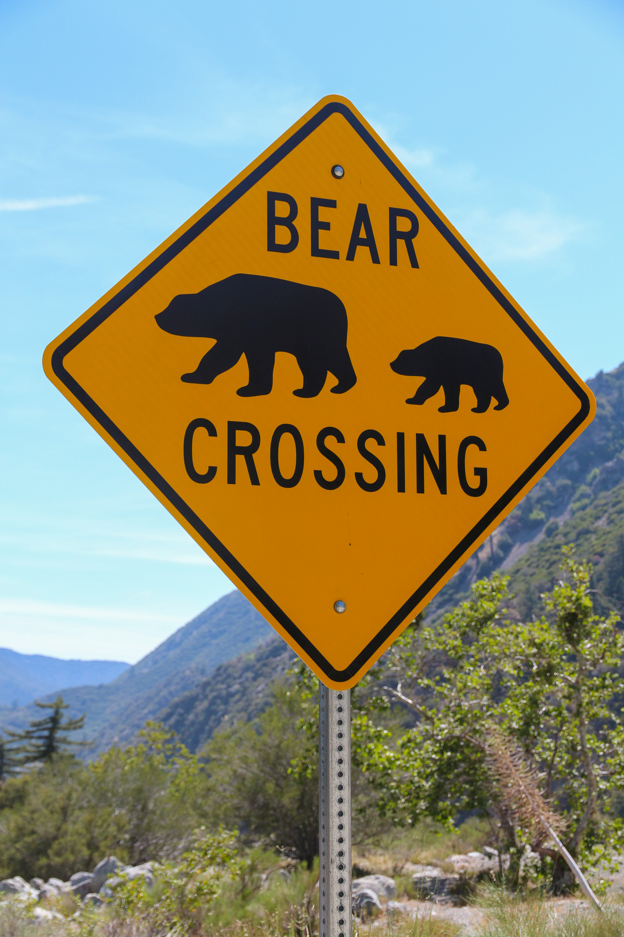 panneau routier prévenant de la traversée d'ours en Californie