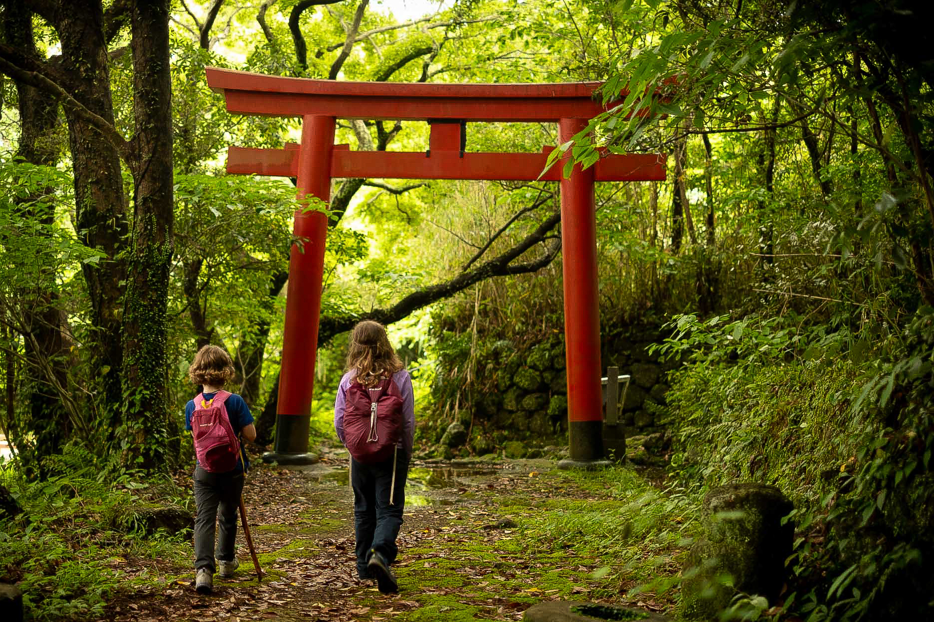 Fibie et Nayla dans la forêt au Japon © Xavier Pasche