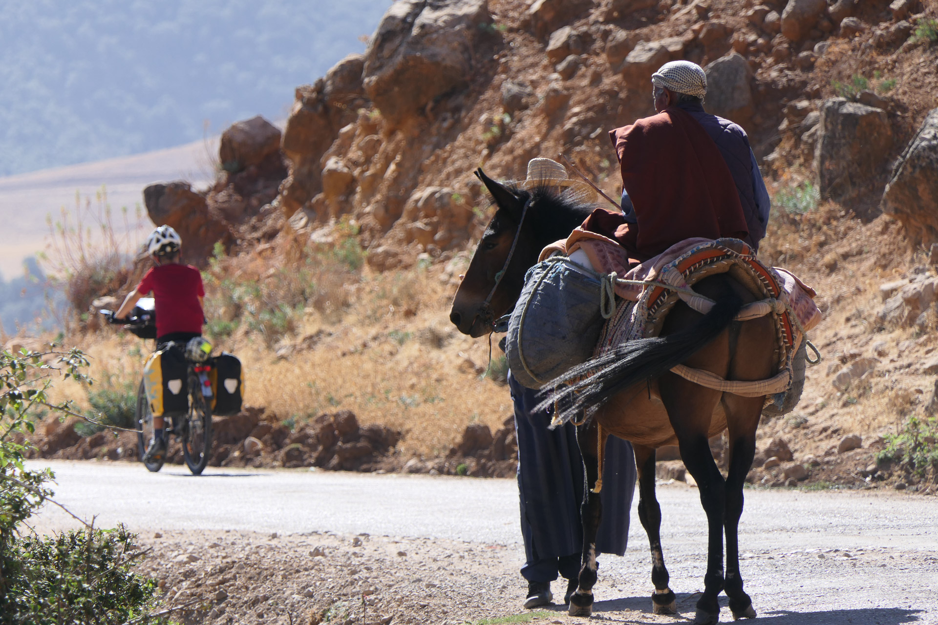 Une mule et son cavalier sur la route au Maroc