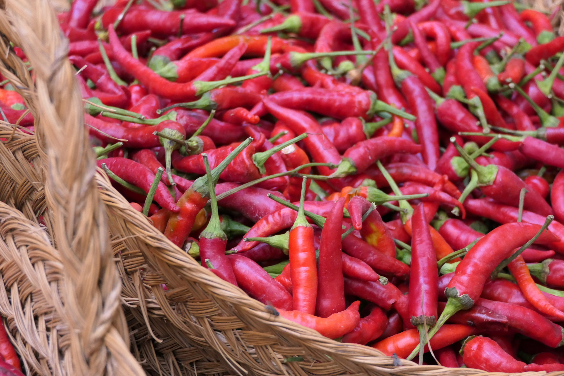 panier de piments au Maroc