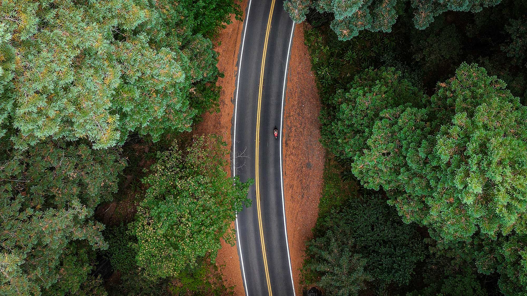 Avenue des Géants avec un vélo vue de drone